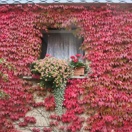 Stadtzentrum , Naehe Schloss Daire *